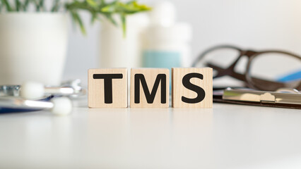 Wooden cubes with the the acronym TRM transportation management system.