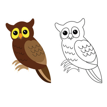 Vector hand drawn owl outline illustration art