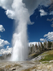 Yellowstone National Park, USA
