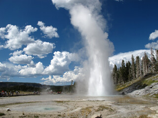 Yellowstone National Park, USA