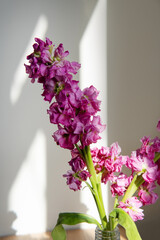 beautiful background with flowers for banner design.