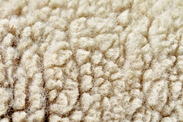 Nahaufnahme Schaffell