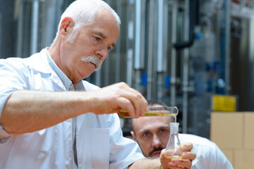 Fototapeta brewery workers checking fermentation process obraz