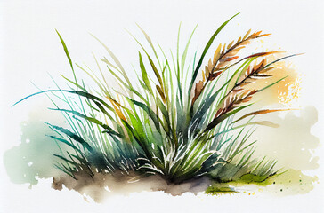 grass in watercolor style, watercolor with paper texture, boho style