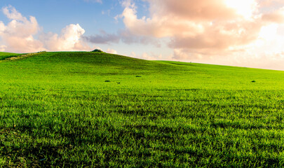 Naklejka premium spring landscape of a countryside with beautiful green rural field
