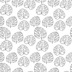 Seamless pattern black lines manstera leaves on white background