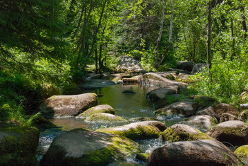 Naklejka na ściany i meble Forest stream with beautiful stones turned by water, illuminated by the summer sun.