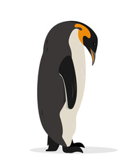 Penguin icon. Big Emperor or King penguin isolated on white background. Flat or cartoon nature animal vector illustration.