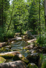 Forest stream with beautiful stones turned by water, illuminated by the summer sun.