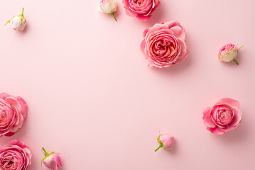 Obraz na płótnie Canvas Mother's Day concept. Top view photo of fresh flowers pink peony roses on isolated pastel pink background with blank space