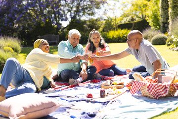 Happy group of diverse senior friends having picnic drinking a toast in garden on sunny day