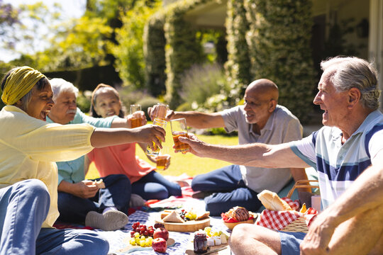 Happy group of diverse senior friends having picnic drinking a toast in garden on sunny day