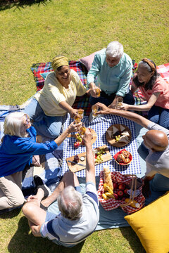 High angle of happy, diverse senior friends having picnic and drinking a toast in sunny garden