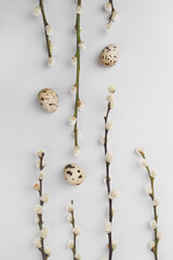 Happy Easter greeting card. Pussy willow branches and natural quail eggs on light grey background....