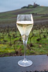 Tasting of brut champagne sparkling wine outdoor with view on pinot noir gran cru vineyards of famous champagne houses in Montagne de Reims near Verzenay, Champagne, France