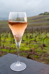 Tasting of brut champagne sparkling wine outdoor with view on pinot noir gran cru vineyards of famous champagne houses in Montagne de Reims near Verzenay, Champagne, France