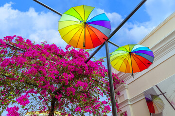Dominican Republic, colorful colonial Umbrella street in Puerto Plata.