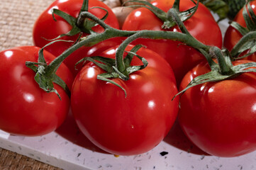 Red ripe tasty Dutch tomatoes growing indoor in greenhouse all seasons, food industry in Netherlands