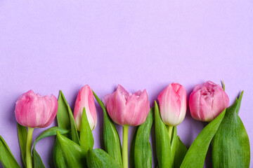 Composition with beautiful tulip flowers on lilac background, closeup. Mother's Day celebration