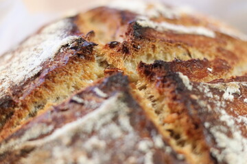 Pain maison. Pain complet tradition. France