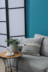 Grey sofa with cushion, houseplant on table and folding screen near blue wall