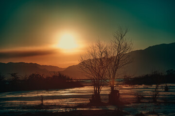 Fototapeta na wymiar Frozen lake at winter weather, sunset light, Kyrgyzstan, Issyk-Kul