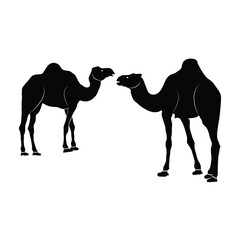 Two beautiful camel vector artwork