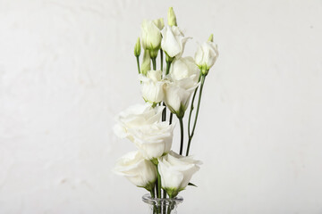 Naklejka na ściany i meble Beautiful eustoma flowers on light background, closeup