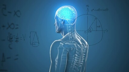 Animation of mathematical sums and diagrams over illuminated digital brain in human body - Powered by Adobe