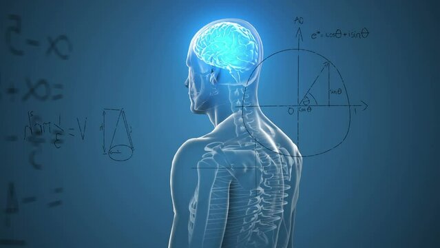 Animation of mathematical sums and diagrams over illuminated digital brain in human body