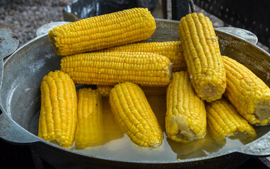 Delicious sweet farm fresh boiled yellow corn cob in a pot. Popular street food