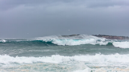 Fototapeta premium Surfing big waves in the ocean in Australia