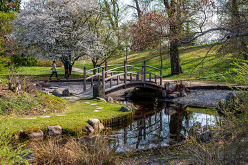 Stockholm, Bergianska trädgården (Bergian Garden or Hortus Bergianus) - 2019.04.28.- Landscape....