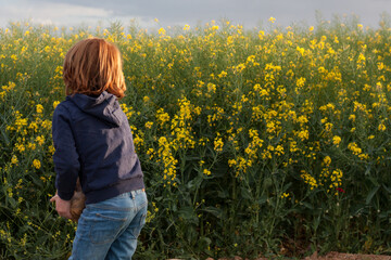 niño en campo de colza