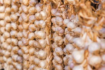 hanging garlic plaits at a market stall
