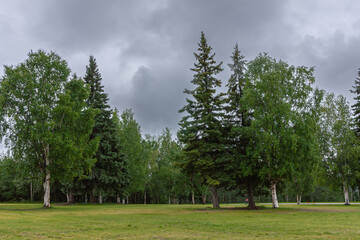 Fototapeta na wymiar Fairbanks, Alaska, USA - July 27, 2011: University of Alaska. Lawn with green trees at the grounds around the buildings under gray cloudscape