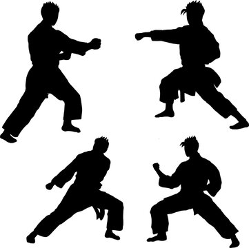 Karate silhouette vector