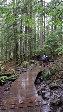 Vertical Video of Two Girls or Women walking on a forest boardwalk in the rain - Lynn Canyon Park, North Vancouver, BC Canada,