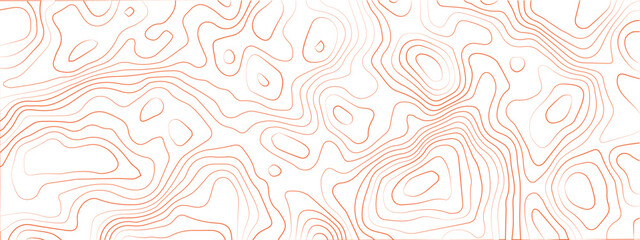 Topographic background and texture, monochrome image. 3D waves, White wave paper curved reliefs abstract background, Abstract topographic contours map background, Vector contour topographic map.