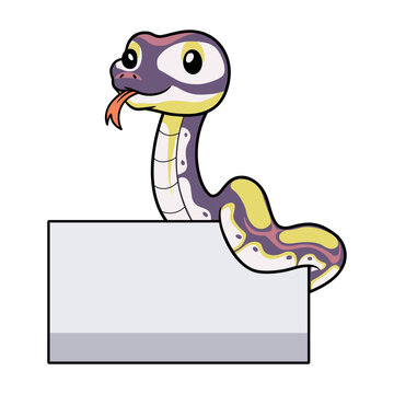 Cute banana pastel ball python cartoon with blank sign