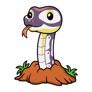 Cute banana pastel ball python cartoon out from hole