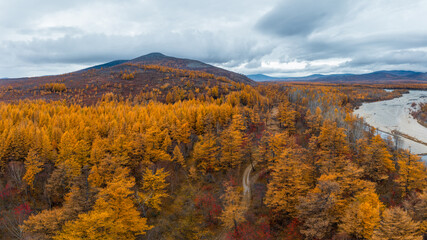 Beautiful autumn landscape. Aerial view of mountains and river valley. Top view of yellow larch trees. Road in the forest. Travel to Siberia and the Russian Far East. Ola river, Magadan Region, Russia