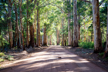 Old Vasse Road - Western Australia