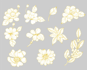 Obraz premium gold hand drawn flower and leaves