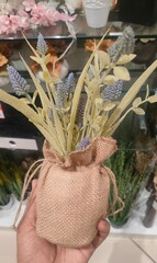 lavender in the market