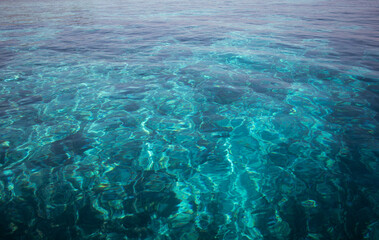 Fototapeta na wymiar Turquoise transparent water in tropical Indonesia