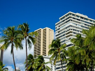 Fototapeta na wymiar High-rises loom above Waikiki, Honolulu's famed tourist district