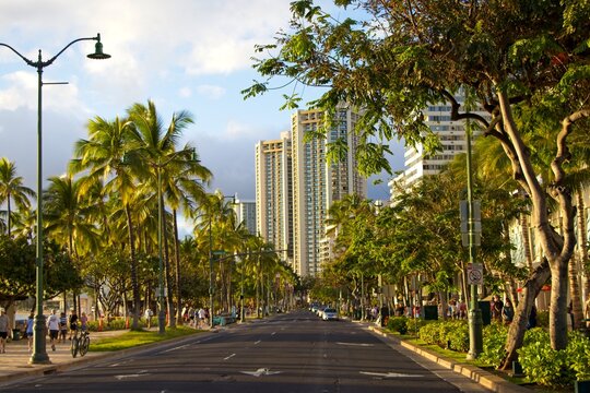 High-rise hotels rise above Honolulu's famous Waikiki neighborhood