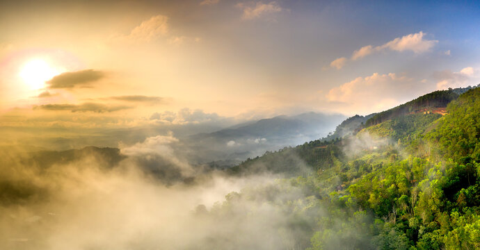 Magical view of Da Lat city, Vietnam. The pine forests are shrouded in mist in the early morning. Morning dew and clouds cover the hillsides with lush green tea farms
