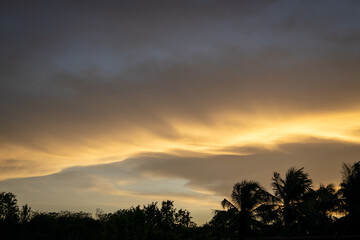 Beautiful sunset between palm trees.